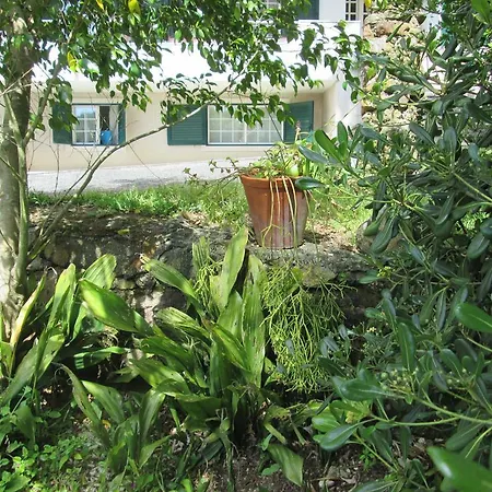 Casa M